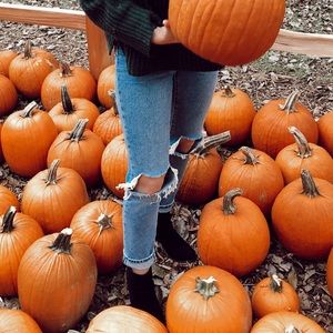 Forever 21 High-Rise Distressed Boyfriend Jeans